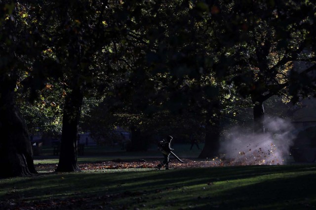 A worker blows leaves off the grass on an autumn day in St James's Park in central London, Britain November 2, 2016. REUTERS/Stefan Wermuth