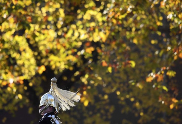 Members of the Household Cavalry ride out amongst autumn foliage early morning in Hyde Park in London in Britain, November 2, 2016. REUTERS/Toby Melville