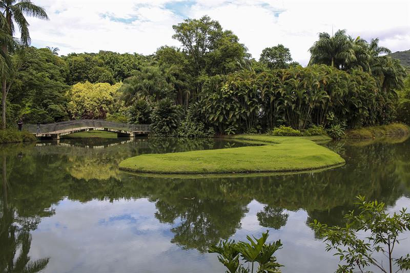 Arte, fotografía y arquitectura se funden en mitad de un bosque de Brasil