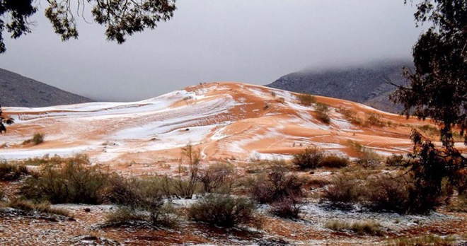 ¡No es un chiste! …  Cayó nieve en el desierto del Sahara (Fotos)