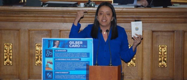 Gaby Arellano: Hay que cambiar a los magistrados del TSJ y rectores del CNE