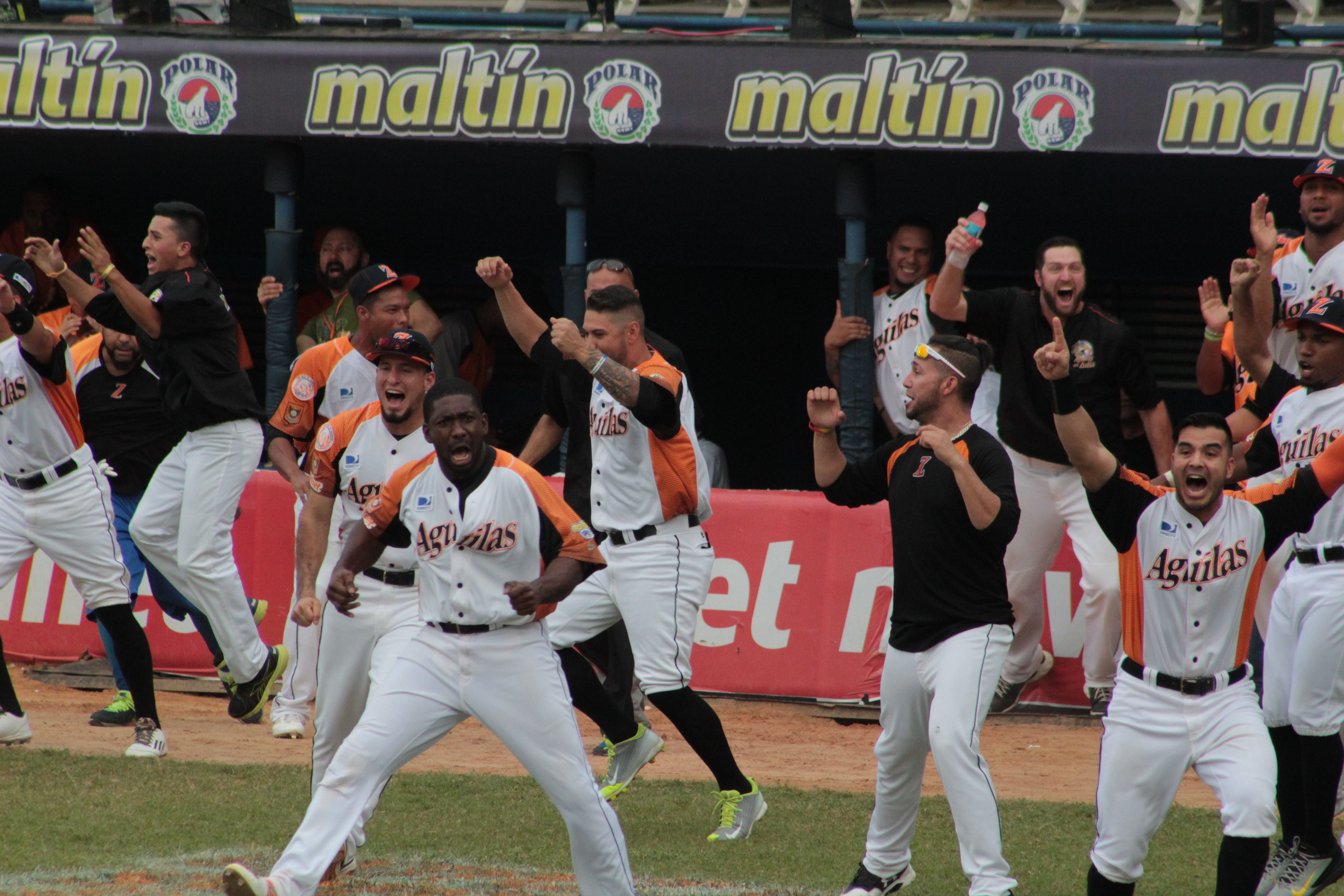 Águilas de Zulia se pone a un juego de coronarse campeón en la LVBP