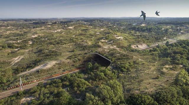 15. Ecoducto entre Zandvoort y Harleem, Holanda