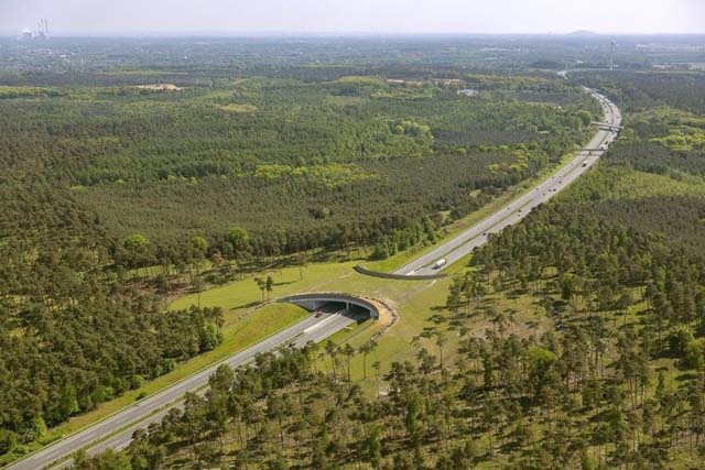 22. Puente en Alemania