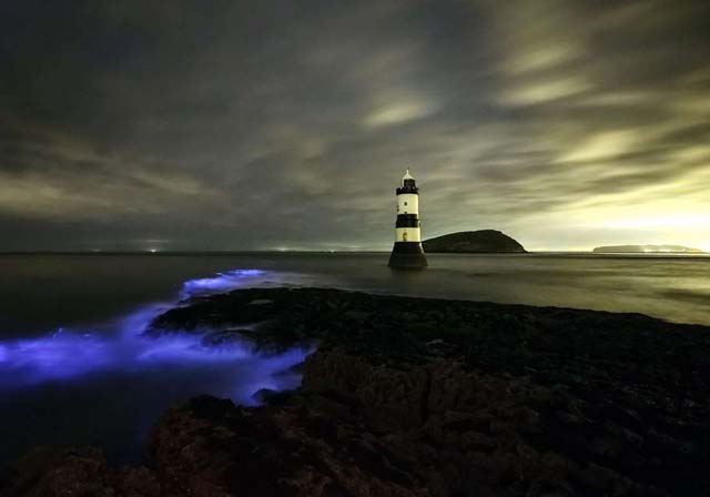 Penmon, Gales La playa de este pueblo de Gales suele iluminarse con un brillo azulado gracias al plancton bioluminescente que se junta en la costa este de la isla de Anglesey. El fenómeno solo se da cuando se mueve el plancton. El fin de la primavera y el principio del verano son las mejores épocas para disfrutar de la hermosa vista.