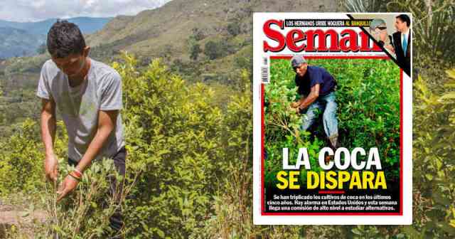 Más de 150.000 hectáreas de coca sembradas, la cifra más alta de la historia, es el gran desafío para el posconflicto y para el futuro de la violencia en Colombia.