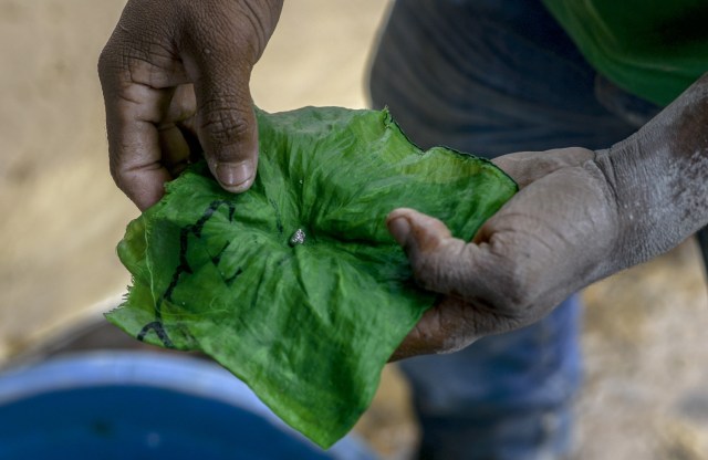 Jorge Sanchez, 24, shows a gold-mercury amalgam at a gold mine in El Callao, Bolivar state, southeastern Venezuela on February 25, 2017. Although life in the mines of eastern Venezuela is hard and dangerous, tens of thousands from all over the country head for the mines daily in overcrowded trucks, pushed by the rise in gold prices and by the severe economic crisis affecting the country, aggravated recently by the drop in oil prices. / AFP PHOTO / JUAN BARRETO