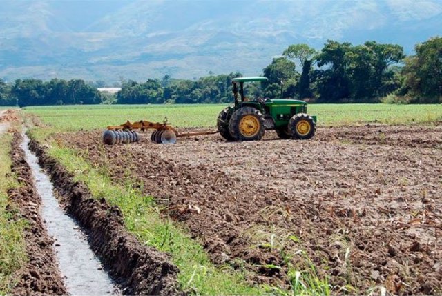 agricultura