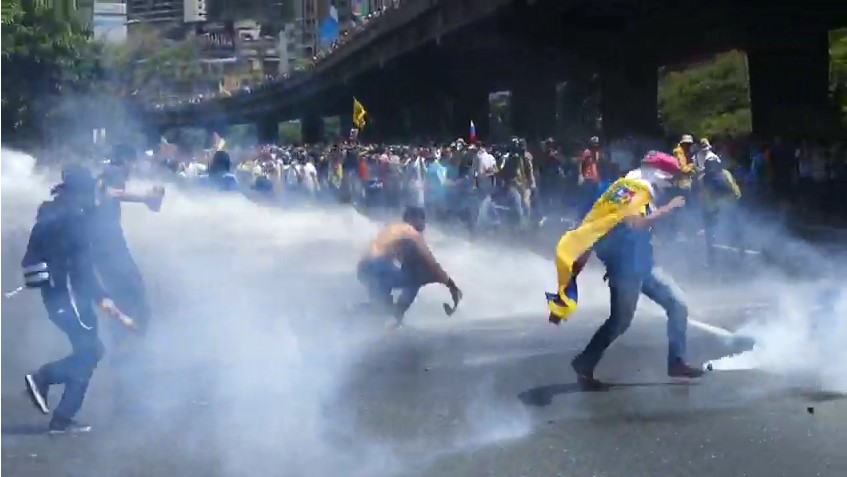 EN VIDEO: Manifestantes se defienden del ataque de ballena y la hacen retroceder