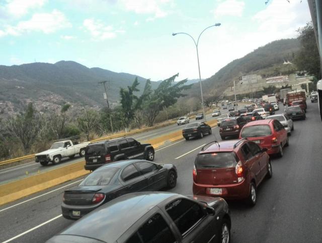 traficogma