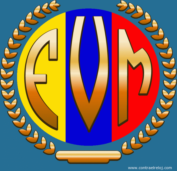 fvm