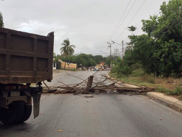 Foto: cortesía El Ají