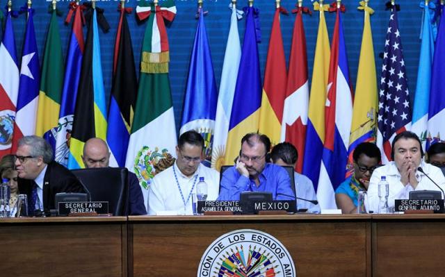 A gritos de "asesinos" y con la bandera venezolana, interrumpen sesión de OEA. EFE