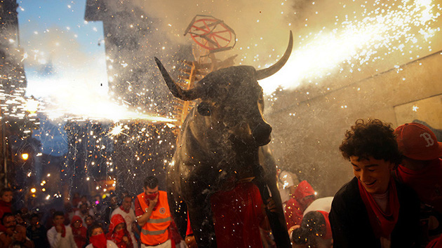 ¡OMG!…El dramático suicidio de un toro prendido en candela (+video)