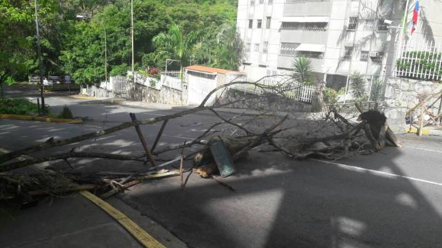 Fotos: Eduardo Ríos/La Patilla