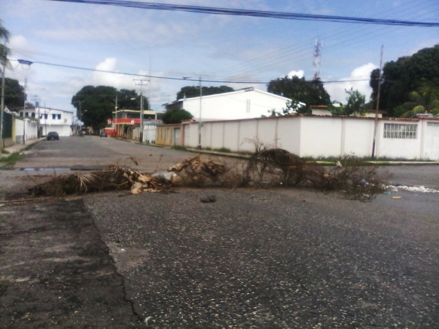 Barrio Obrero en San Carlos, Cojedes, unida al trancazo // Foto @garza_informa 