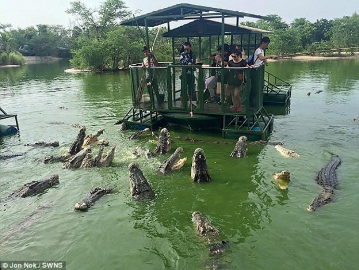 Esta actividad para los turistas te dejará horrorizado al ver la foto completa