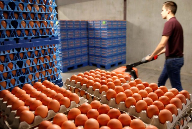 Eggs are packed to be sold at a poultry farm in Wortel near Antwerp, Belgium August 8, 2017. REUTERS/Francois Lenoir