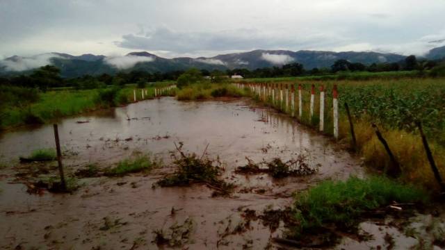 Crecida del Río Caribe (Foto: Salvador Villalba)