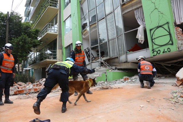 MIX01. CIUDAD DE MÉXICO (MÉXICO), 20/09/2017.- Un grupo especial de rescate de la Policía Federal participa en la búsqueda de personas aun con vida en medio de edificios colapsados tras el sismo de magnitud 7,1 en la escala de Richter que sacudió fuertemente el centro del país este martes, hoy, miércoles 20 de septiembre de 2017, en Ciudad de México (México). El número de muertos en el terremoto que sacudió este martes el centro de México aumentó a 225, según el último reporte del coordinador nacional de Protección Civil, Luis Felipe Puente. EFE/STR