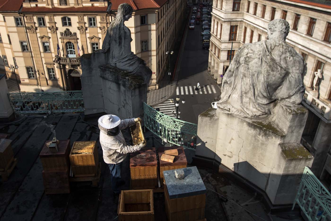 Los tejados de Praga albergan un inesperado y dulce secreto (fotos)