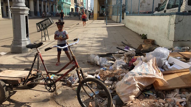 Se han recogido unos 137.000 metros cúbicos entre árboles, cubiertas, escombros, postes y cables de electricidad y comunicaciones. (14ymedio)