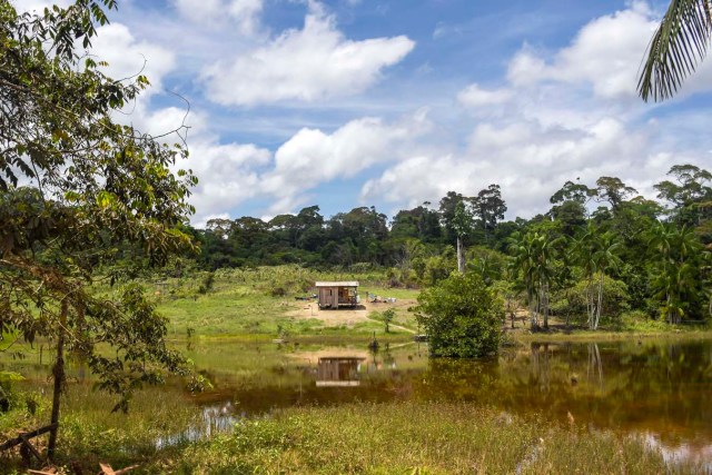 A wooden house is seen from the BR-210 highway in the town of Cupixi in Amapa state in Brazil's Amazon region on October 15, 2017. / AFP PHOTO / Apu Gomes