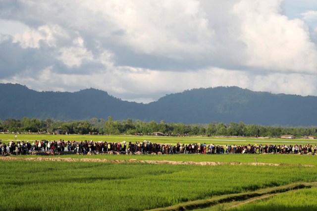 Rohingya refugees, who arrived from Myanmar last night, walk in a rice field after crossing the border in Palang Khali near Cox's Bazaar, Bangladesh October 9, 2017. REUTERS/Jorge Silva