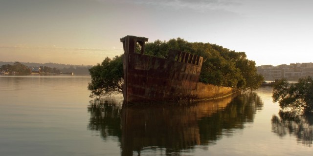 El buque Ayrfield o 'bosque navegante', Australia. El Ayrfield fue construido en el Reino Unido en 1911 y en 1912 fue enviado a Sídney. La nave fue utilizada para transportar suministros militares por el Ejército de los Estados Unidos durante la Segunda Guerra Mundial.