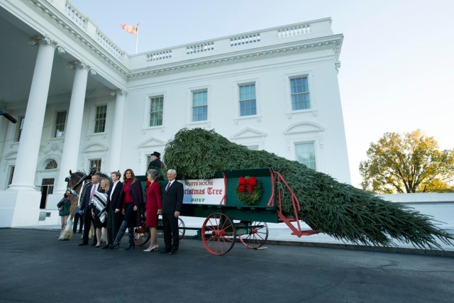 MRX01. WASHINGTON (EE.UU.), 20/11/2017.- La primera dama estadounidense, Melania Trump (c), acompañada de su hijo Barron Trump (3i), posa con algunos miembros de la familia del Chapman de Silent Night Evergreens, durante la presentación del Árbol de Navidad de la Casa Blanca, que será presentado hoy, lunes 20 de noviembre de 2017, en la residencia presidencial en Washington (EE.UU.). EFE/Michael Reynolds