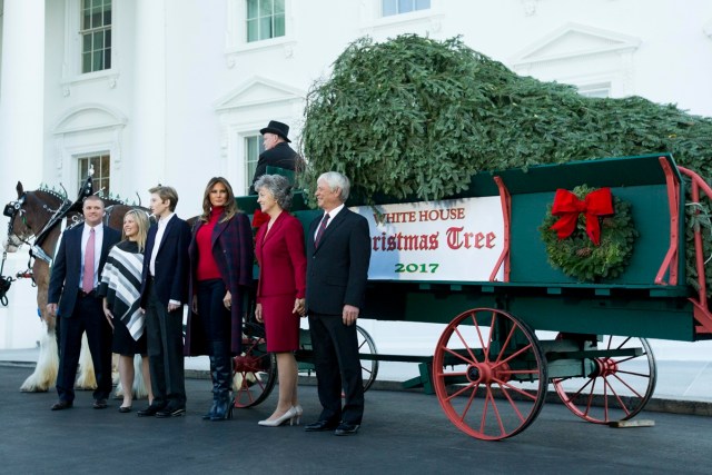 MRX01. WASHINGTON (EE.UU.), 20/11/2017.- La primera dama estadounidense, Melania Trump (c), acompañada de su hijo Barron Trump (3i), posa con algunos miembros de la familia del Chapman de Silent Night Evergreens, durante la presentación del Árbol de Navidad de la Casa Blanca, que será presentado hoy, lunes 20 de noviembre de 2017, en la residencia presidencial en Washington (EE.UU.). EFE/Michael Reynolds