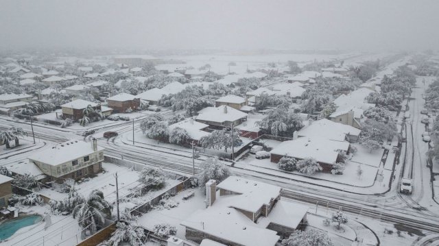 Nevada en Houston. Foto @JeanSuriel