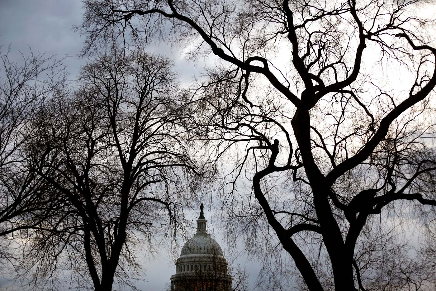 Senadores de Estados Unidos piden investigar presuntos lazos de funcionarios venezolanos con el narcotráfico (documento)