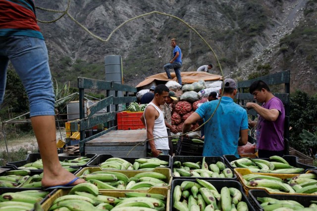 Workers move plastic baskets filled with plantain from a farmer's truck to Humberto Aguilar's truck at his house in La Grita, Venezuela January 29, 2018. REUTERS/Carlos Garcia Rawlins SEARCH "LAWLESS ROADS" FOR THIS STORY. SEARCH "WIDER IMAGE" FOR ALL STORIES.?