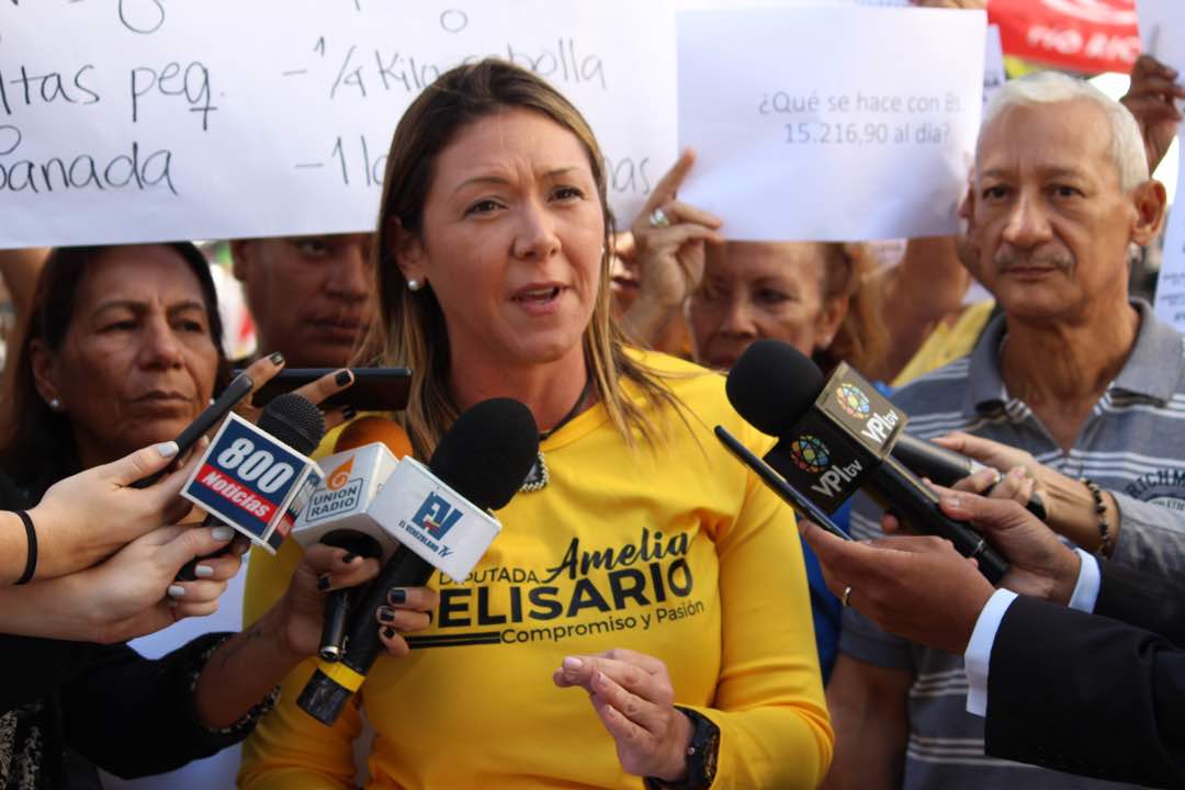 Amelia Belisario: Vamos a validar a PJ para seguir luchando unidos, y derrotar a los responsables del hambre y la crisis del país