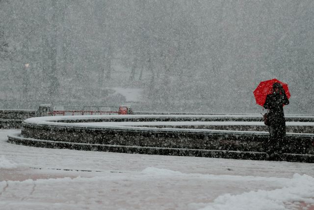 Un peatón camina por Central Park durante una tormenta de nieve en Nueva York, EE. UU. Foto REUTERS / Lucas Jackson