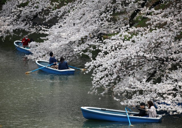 Visitors ride a boat in the Chidorigafuchi moat, as they enjoy fully bloomed cherry blossoms, during spring season in Tokyo, Japan March 26, 2018. REUTERS/Issei Kato