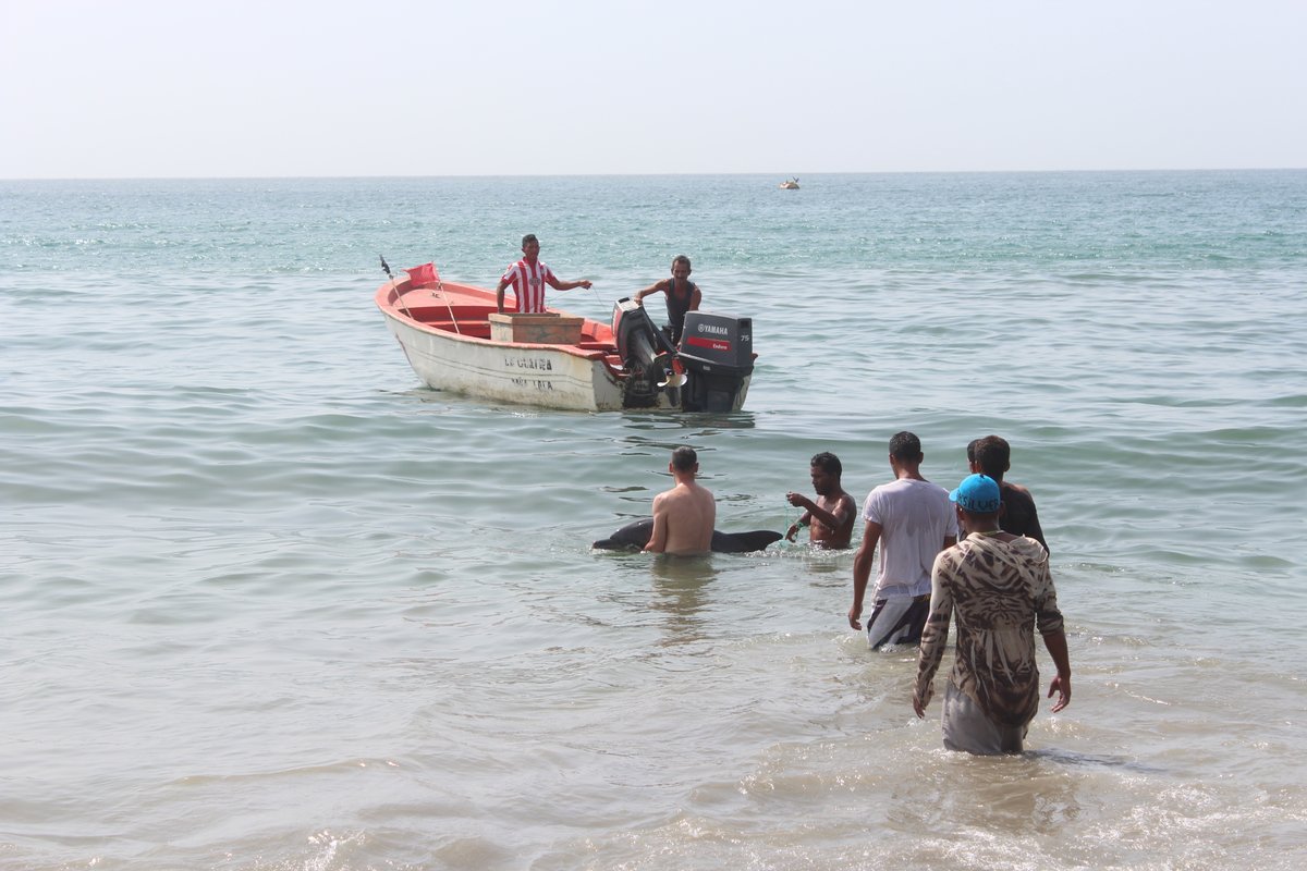 La buena obra del día: Bomberos y pescadores de Vargas rescataron a un delfín (FOTOS)