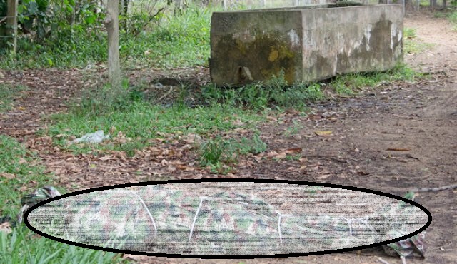 En frontera colombo-venezolana grupos violentos abandonan cadáveres