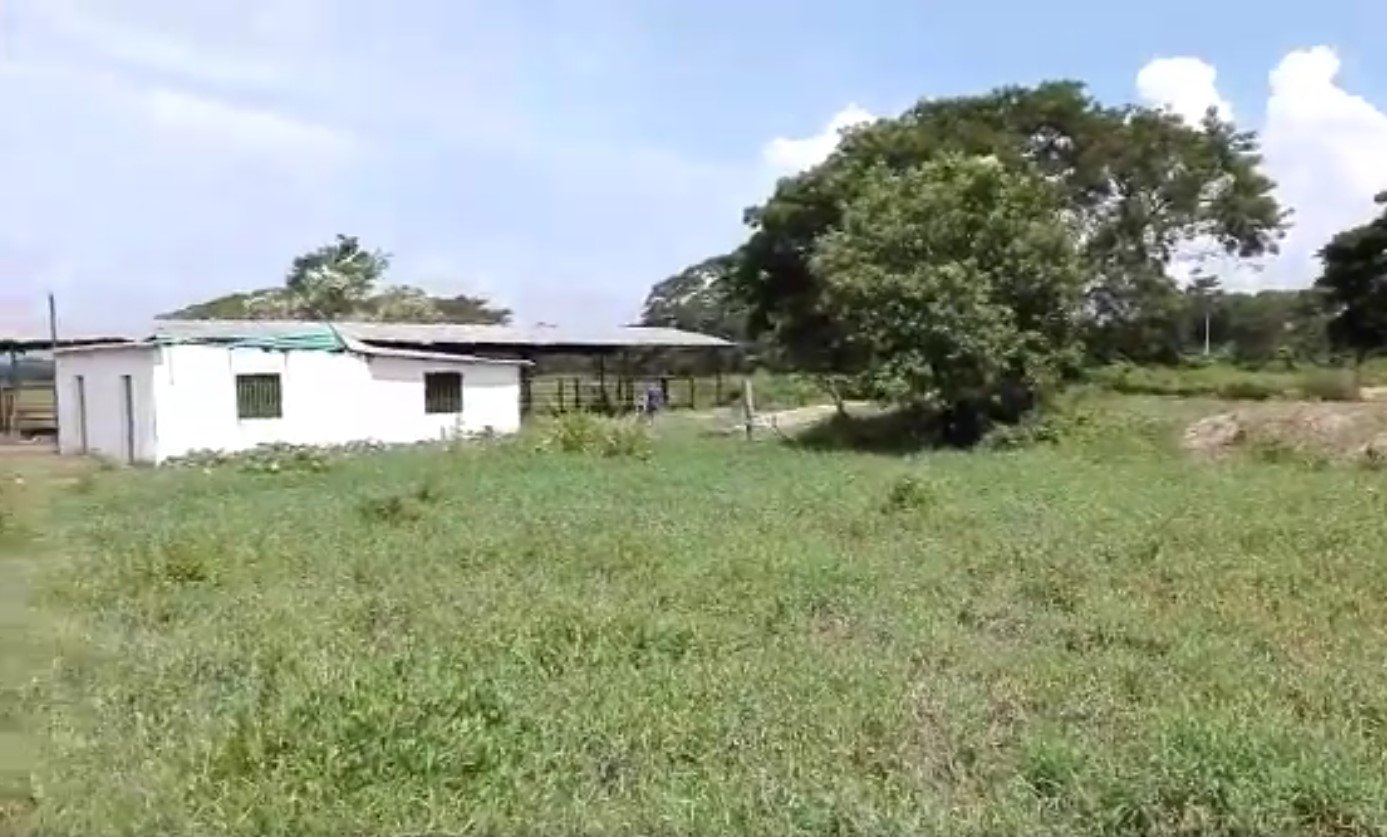 Salió de su casa y le invadieron su finca: Esta señora explica la fechoría del chavismo para arrebatarle su propiedad (VIDEO)