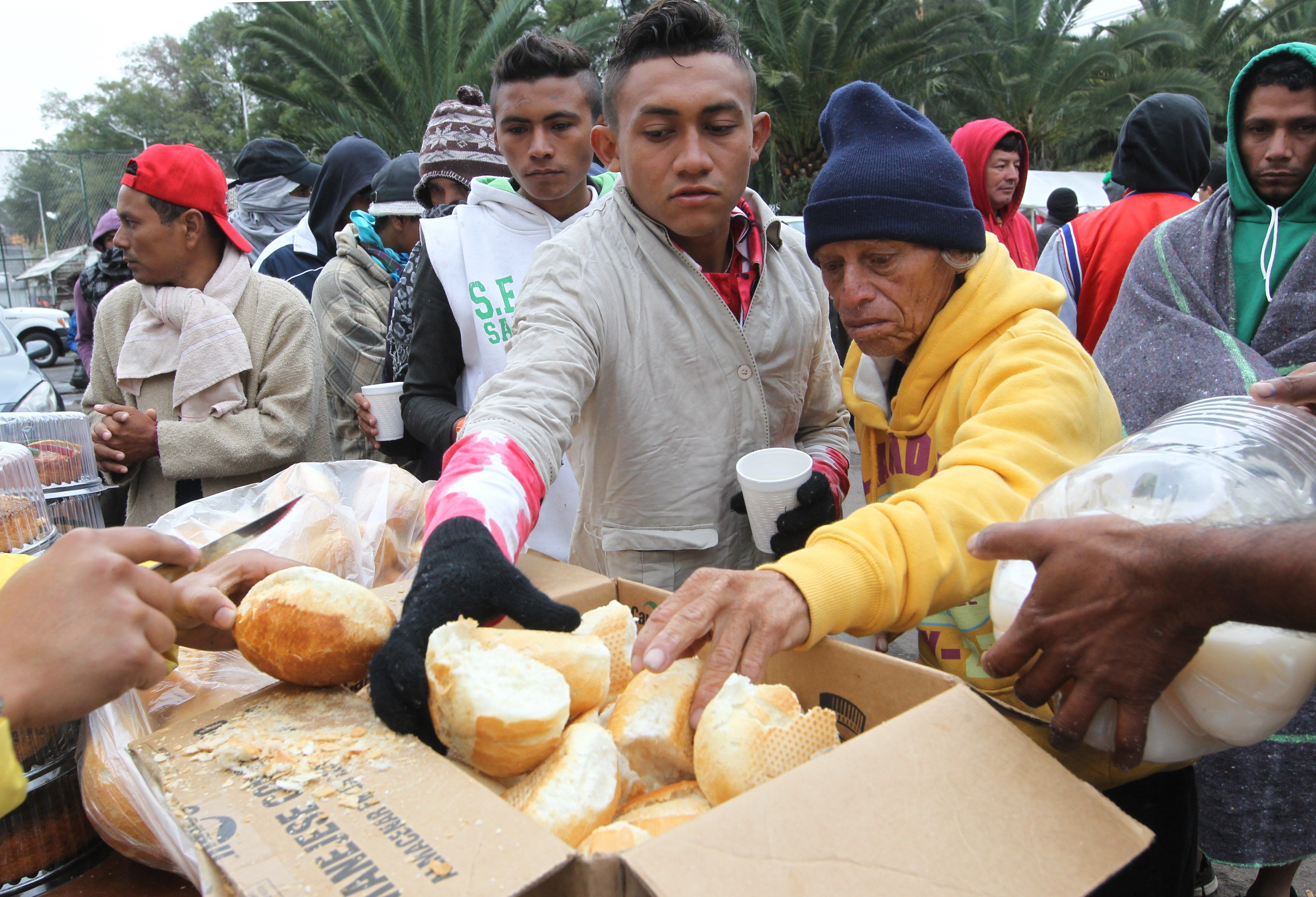 Especial La Patilla: Los intrusos en la caravana a Estados Unidos