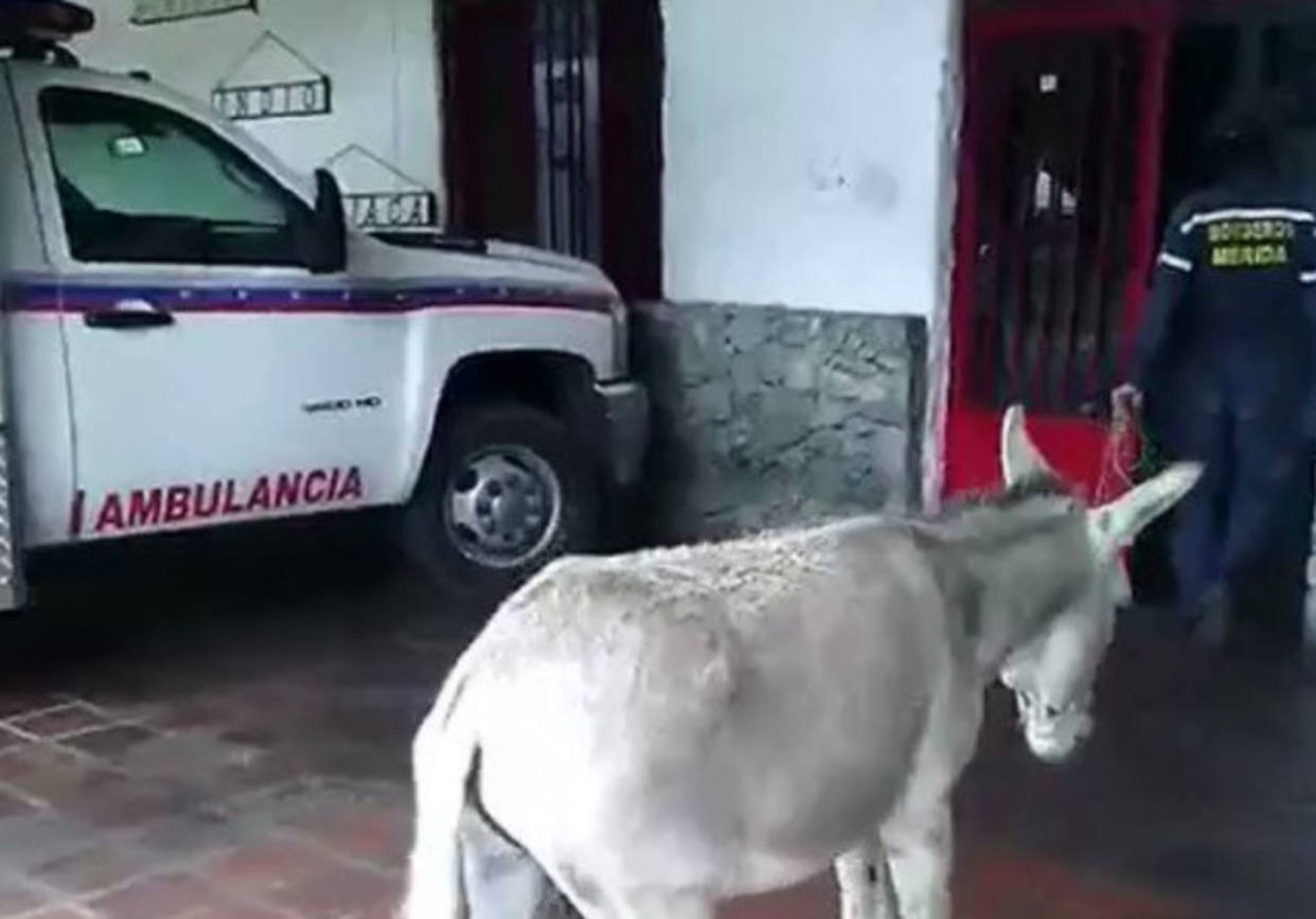 ¿Qué hay detrás del caso de los bomberos de Mérida?