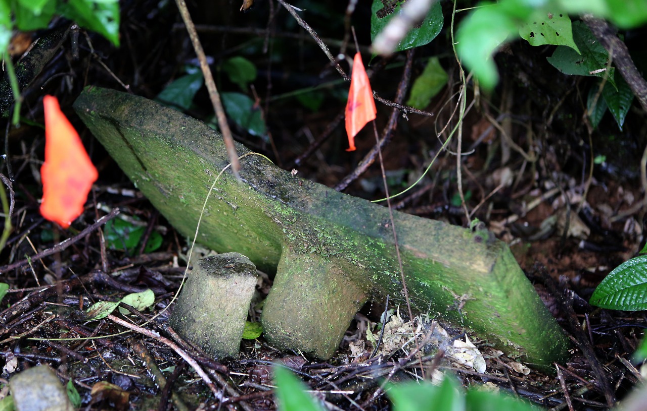 Arqueólogos extraen una pieza grande de la ancestral Ciudad Blanca en Honduras (Fotos)