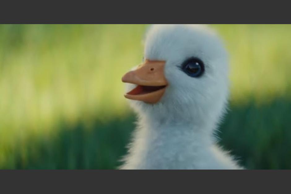 Este es el tierno comercial de Disney que conmueve las redes (Video)