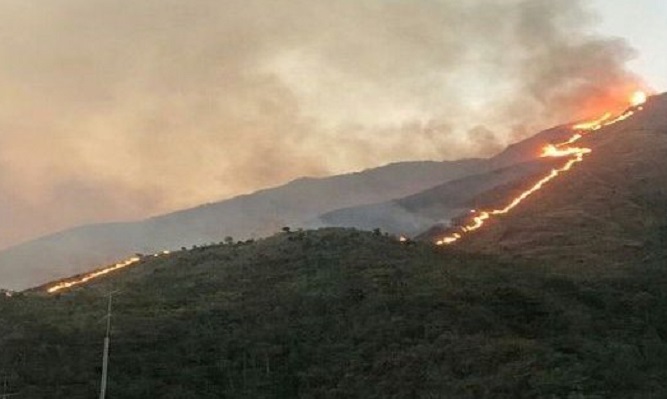 Temporada de sequía y falta de mantenimiento podrían causar más incendios en El Ávila