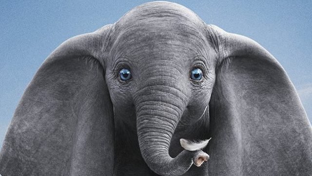 Dumbo