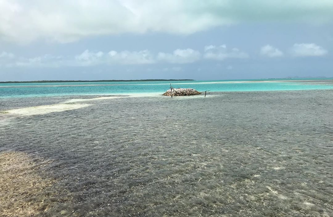 Valentina Quintero denuncia rueda de negocios para entregar concesiones en Los Roques (Video)