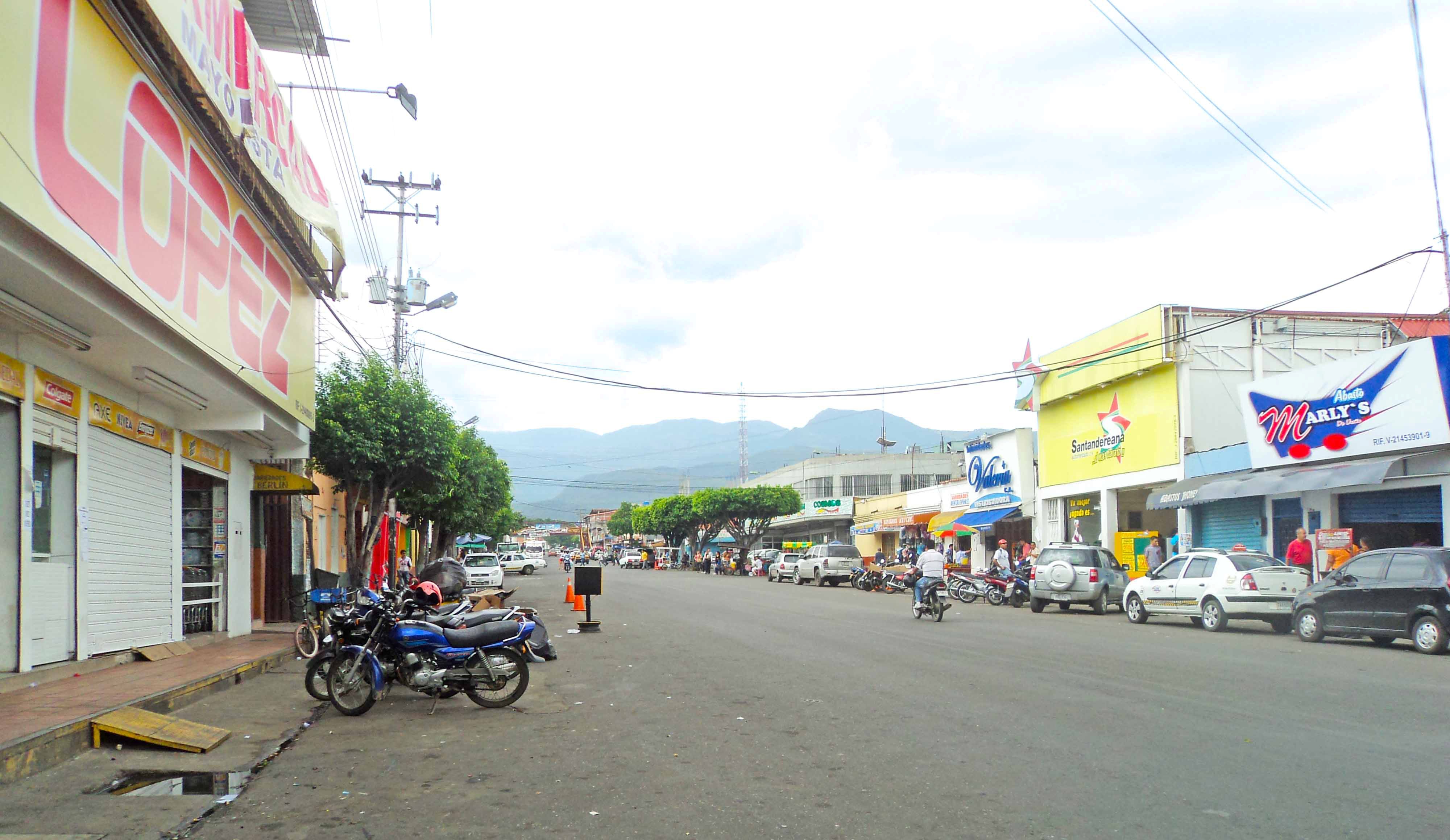 Transportaban tres cabezas humanas los cinco hombres que el Ejército capturó en Táchira