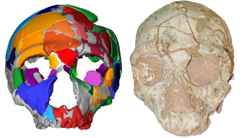 Identificado en Grecia el Homo sapiens no africano más antiguo