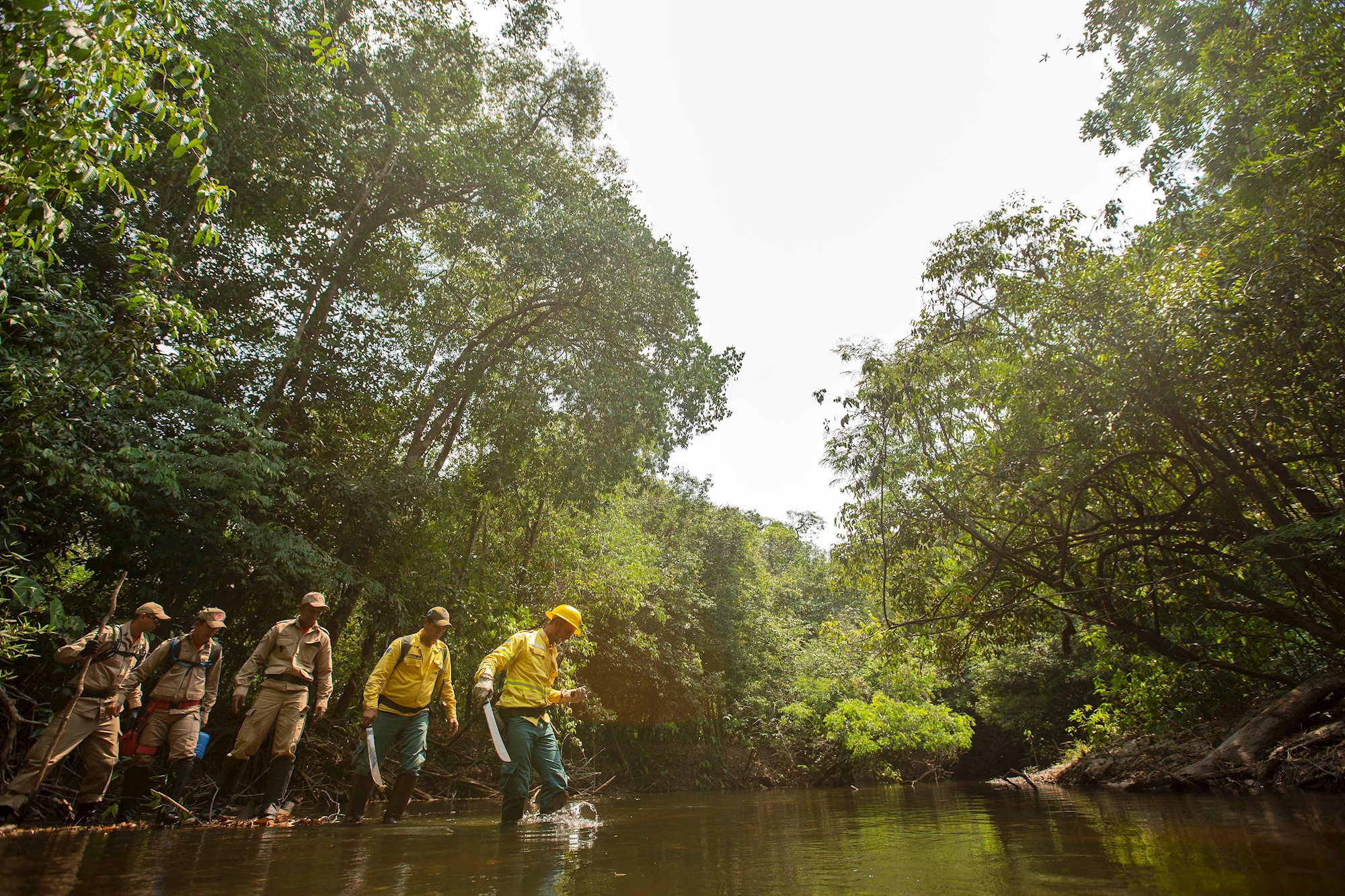 El G7 moviliza 20 millones de dólares para combatir el fuego en la Amazonía